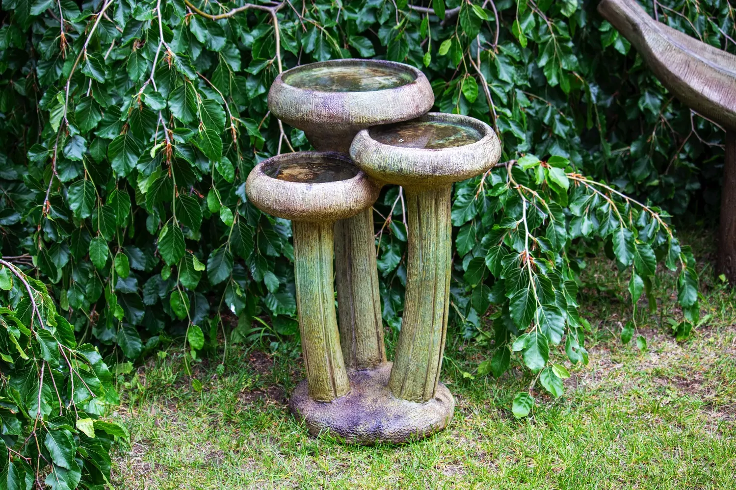 Water Lilies Birdbath